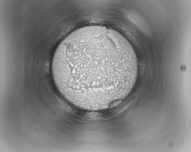 X0000093620269200711121243