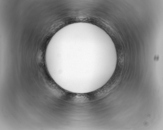 X0000093620270200711121243