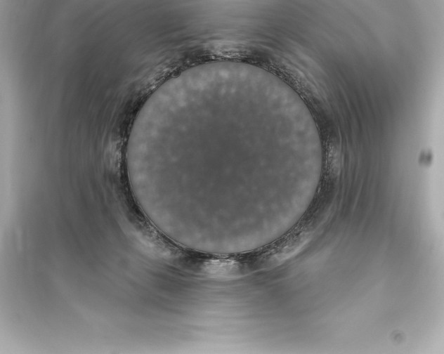 X0000093620271200711121243