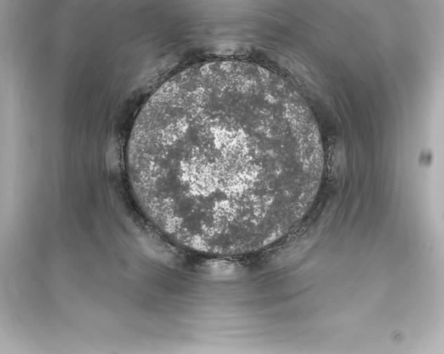 X0000093620272200711121243