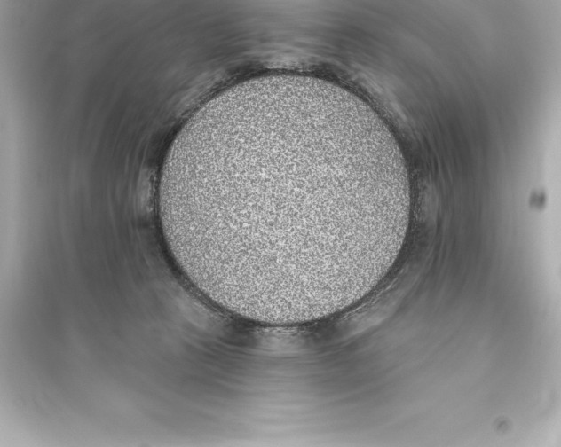 X0000093620273200711121243