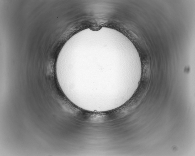 X0000093620274200711121243