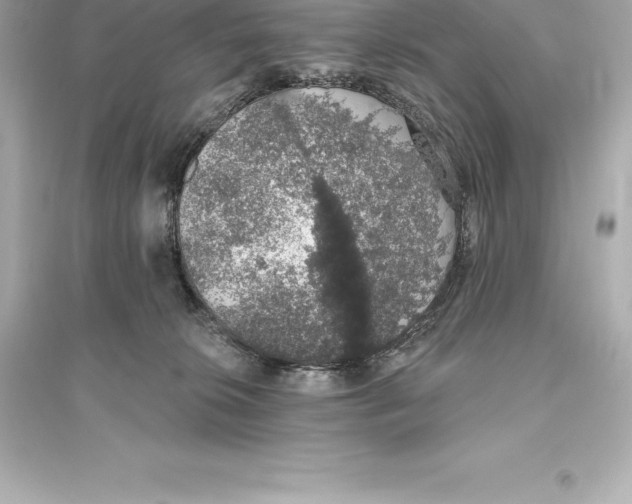 X0000093620276200711121243