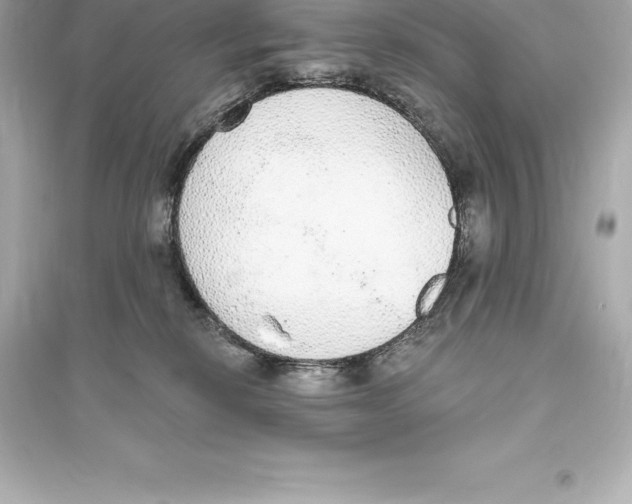 X0000093620278200711121243