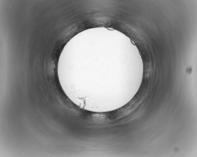 X0000093620279200711121243