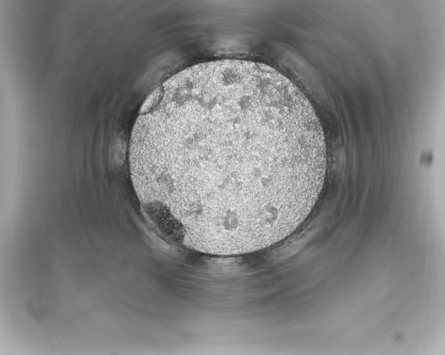 X0000093620281200711121243