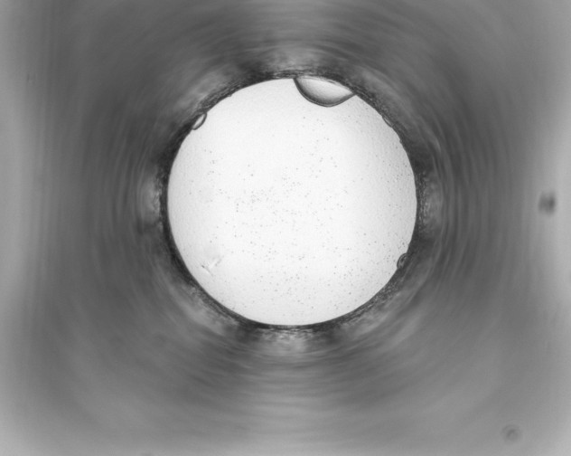 X0000093620282200711121243