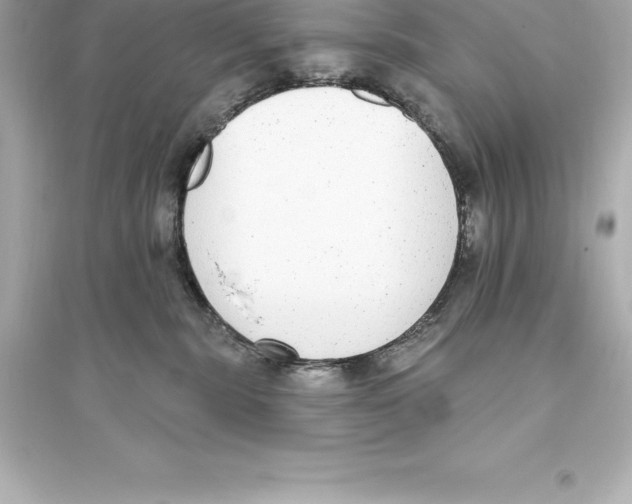 X0000093620283200711121243