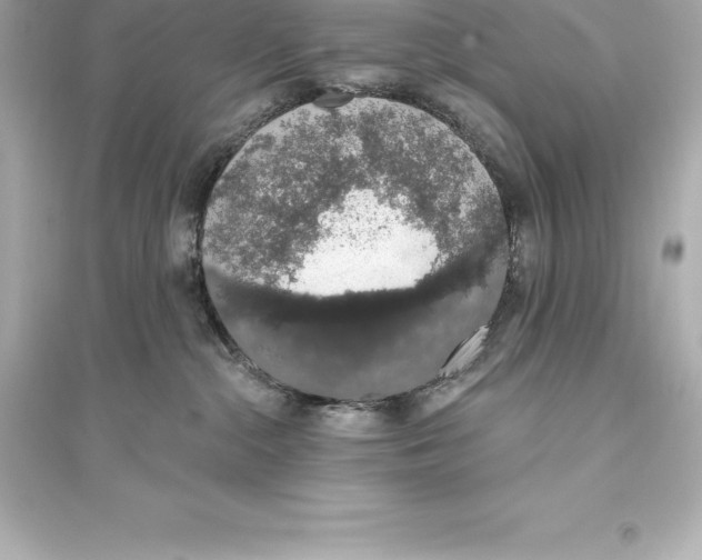 X0000093620284200711121243