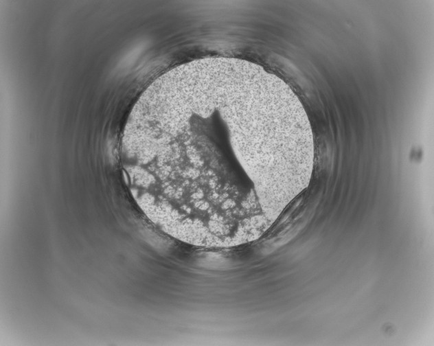 X0000093620285200711121243