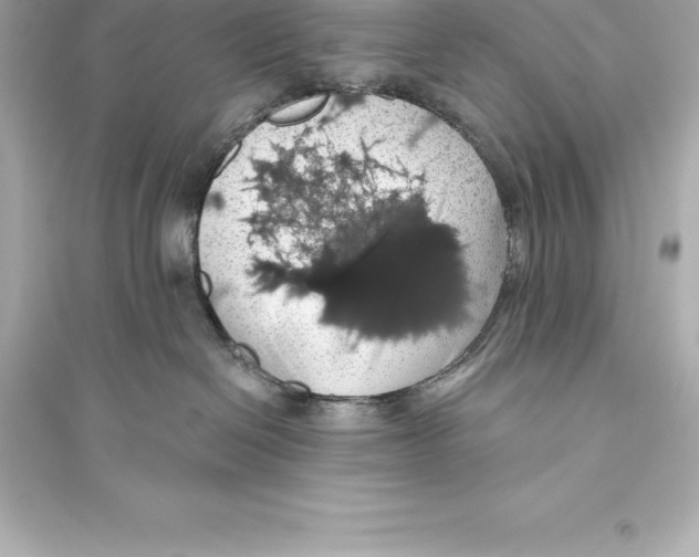 X0000093620286200711121243