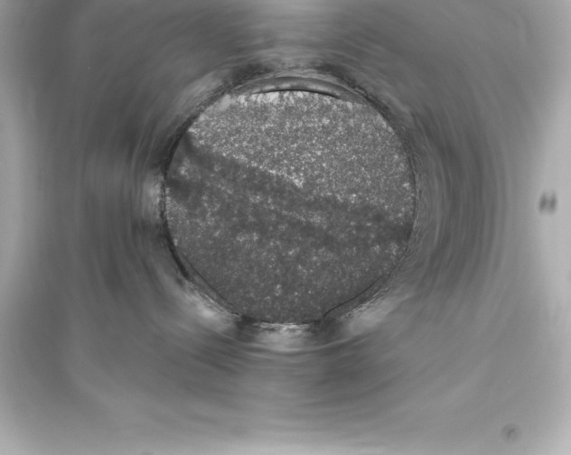 X0000093620288200711121243