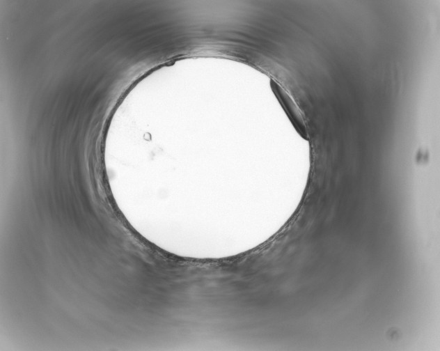 X0000093620289200711121242