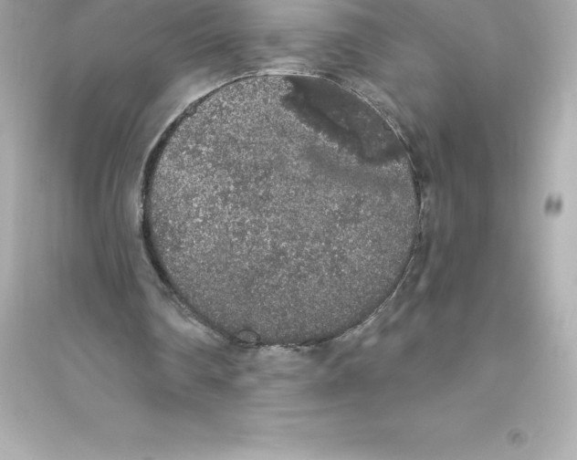 X0000093620290200711121242