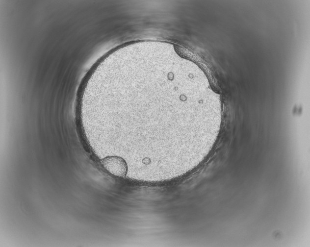 X0000093620292200711121242