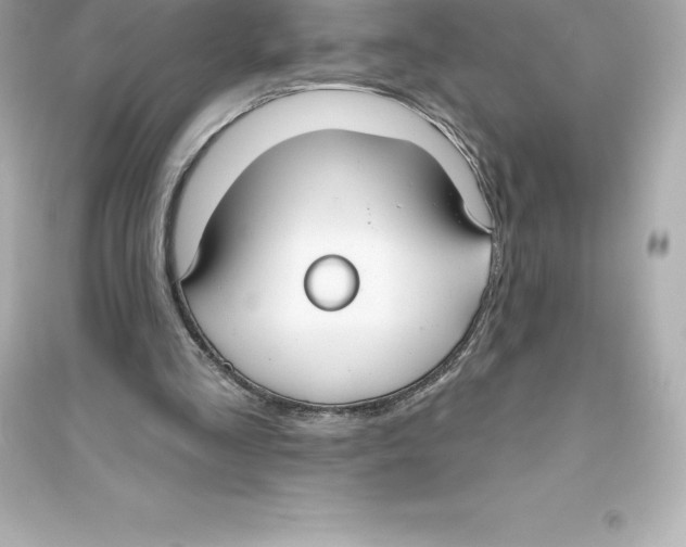 X0000093620293200711121242