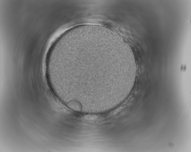 X0000093620294200711121242