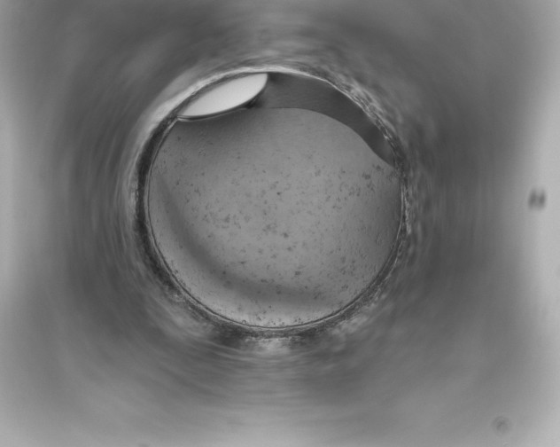 X0000093620295200711121242