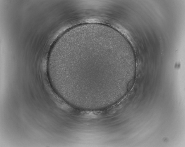 X0000093620297200711121242