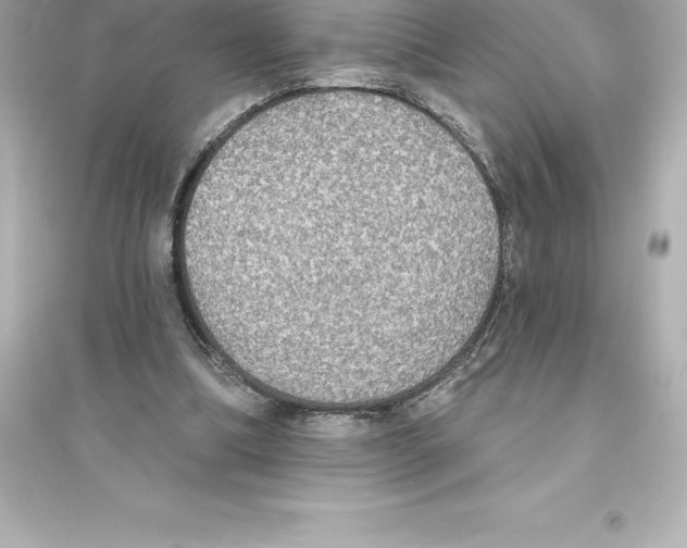 X0000093620298200711121242