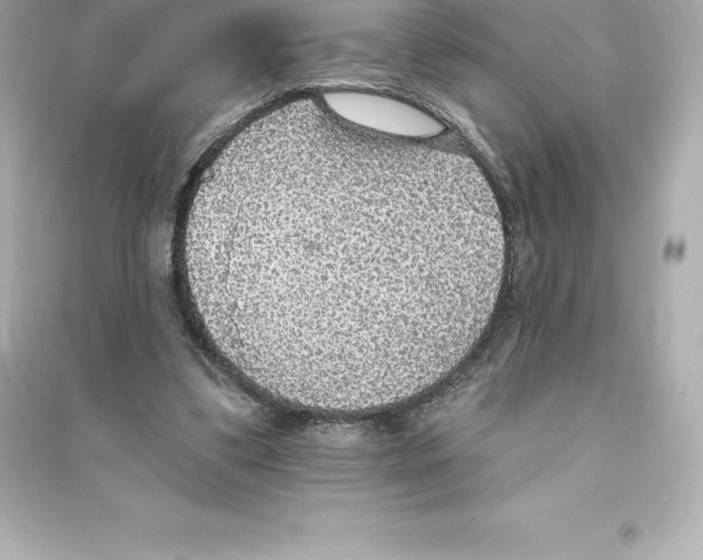 X0000093620299200711121242