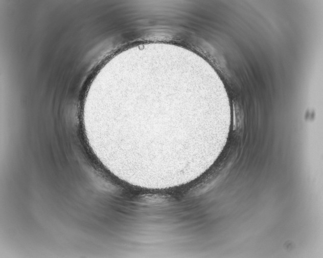 X0000093620300200711121242