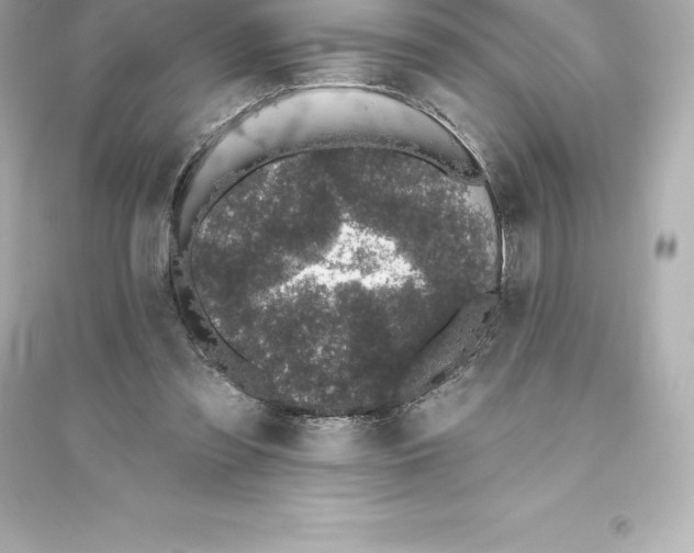 X0000093620301200711121242