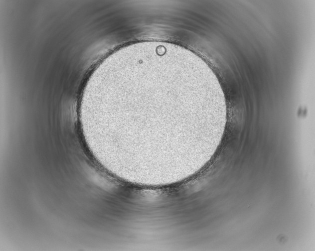 X0000093620302200711121242