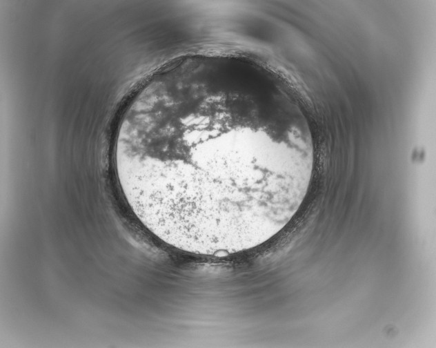 X0000093620303200711121242