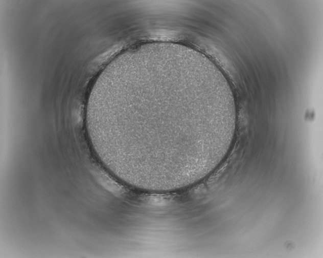 X0000093620305200711121242