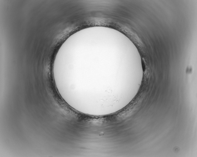 X0000093620306200711121242