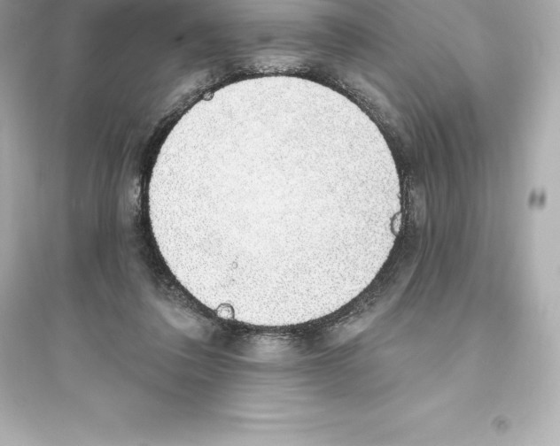 X0000093620308200711121242