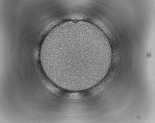 X0000093620309200711121242