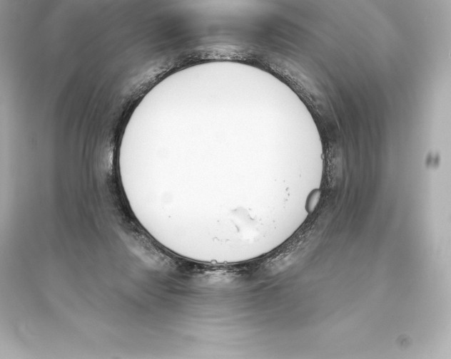 X0000093620310200711121242