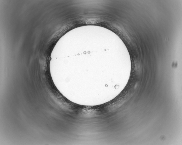 X0000093620311200711121242