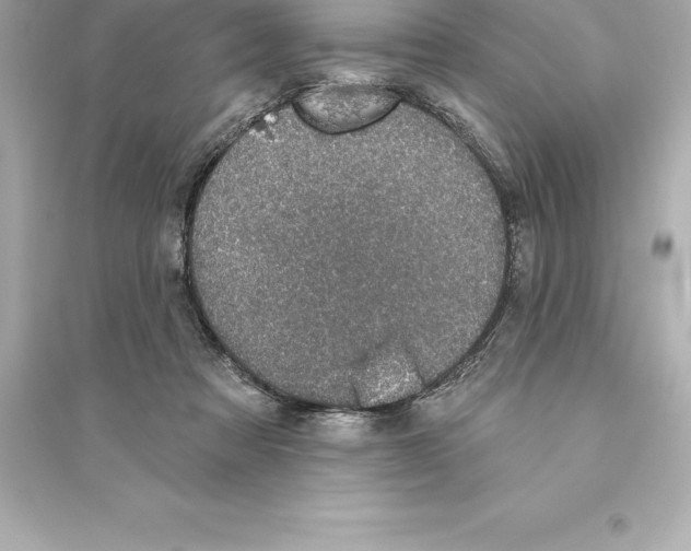 X0000093620313200711121242