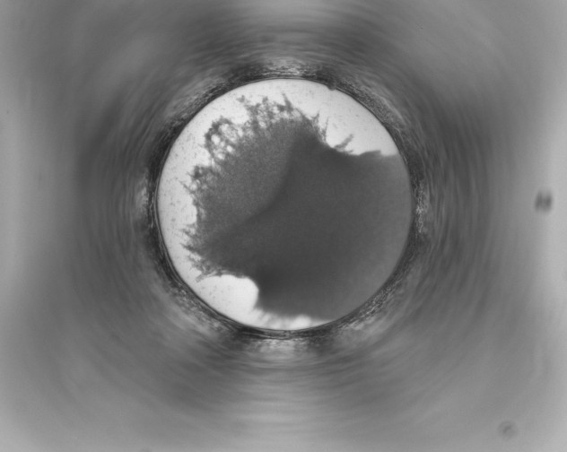 X0000093620314200711121242