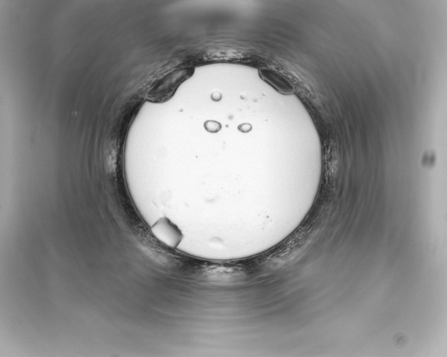 X0000093620315200711121242