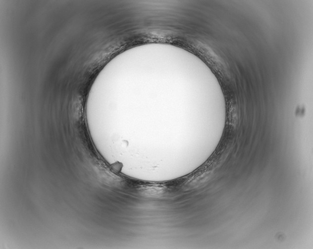 X0000093620318200711121242