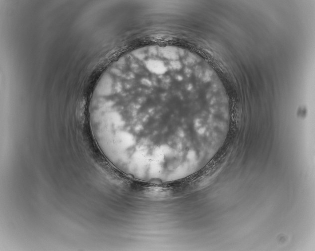 X0000093620319200711121242