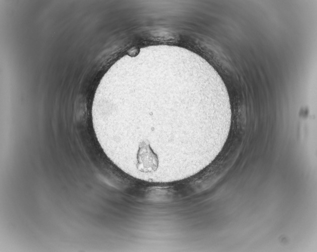 X0000093620320200711121242