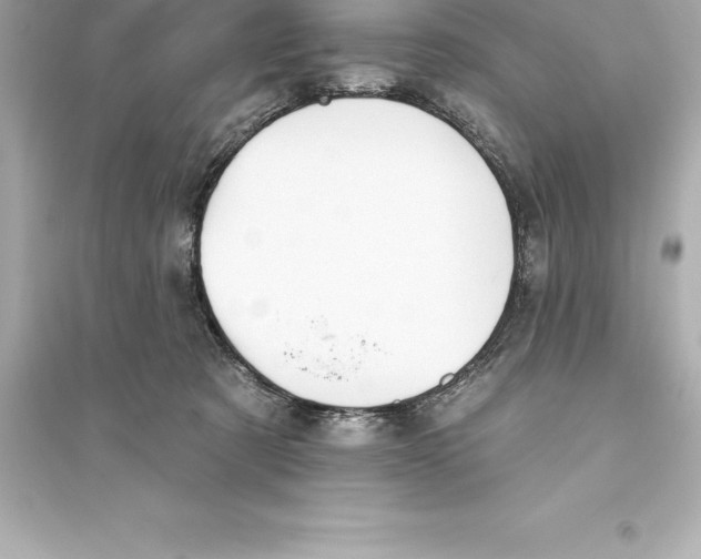 X0000093620321200711121242