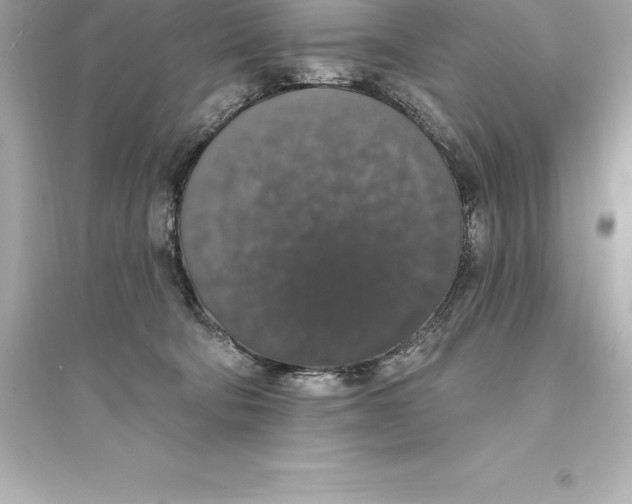 X0000093620322200711121242