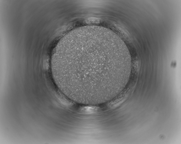 X0000093620323200711121242