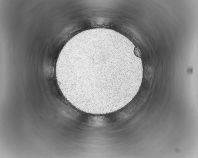 X0000093620324200711121242