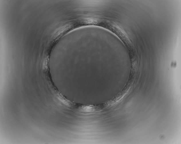 X0000093620325200711121242