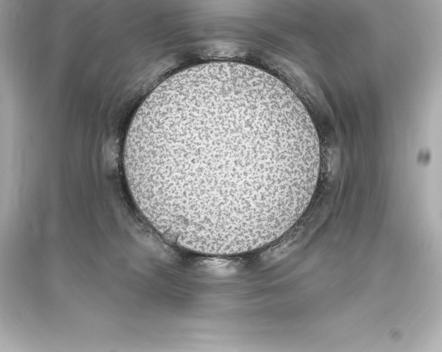 X0000093620326200711121242