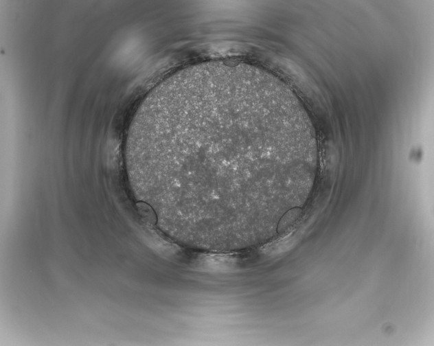 X0000093620327200711121242