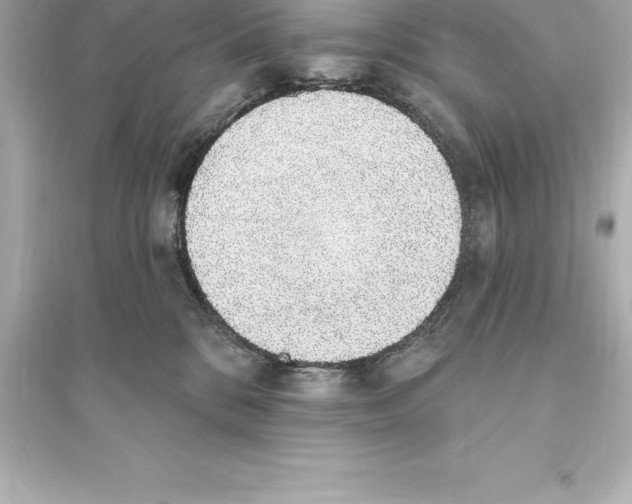 X0000093620328200711121242