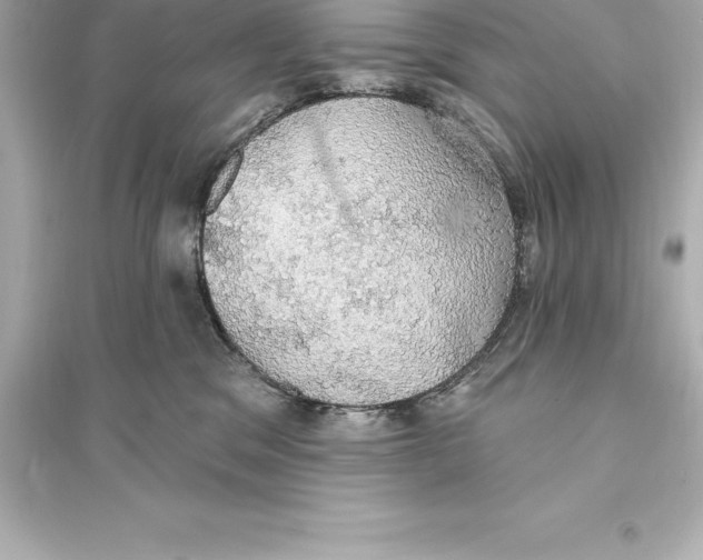 X0000093620329200711121242